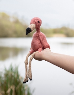 Cindy the American Flamingo