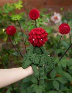 Ball Dahlia