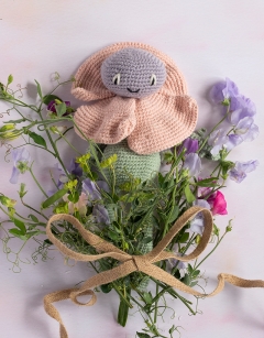 Sweet Pea