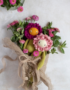 Zinnia