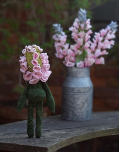 Foxglove