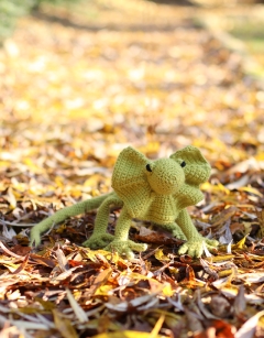 Wanda the Frill Necked Lizard