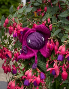 Fuchsia
