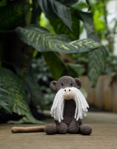 Gerard the Emperor Tamarin