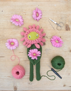 Gerbera