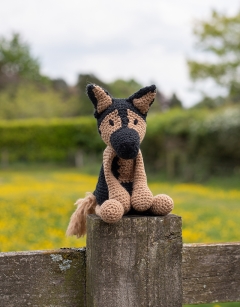 Axel the German Shepherd