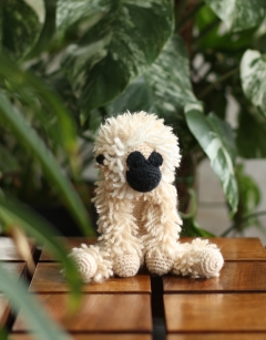 Xavier the Gibbon