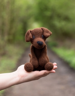 Eleanor the Labrador