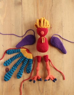 Calvin the Golden Pheasant