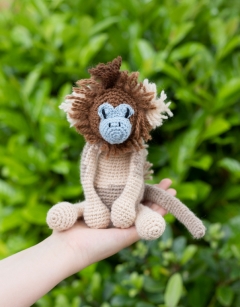 Gordon the Golden Snub-Nosed Monkey