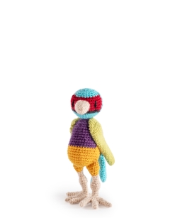 Ezra the Gouldian Finch