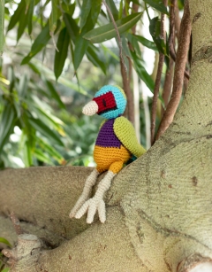 Ezra the Gouldian Finch