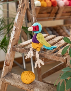 Ezra the Gouldian Finch
