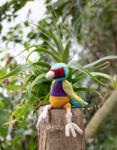 Ezra the Gouldian Finch