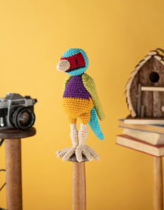 Ezra the Gouldian Finch