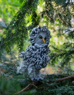 Dodd the Great Grey Owl