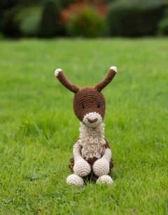 Bianca the Guanaco