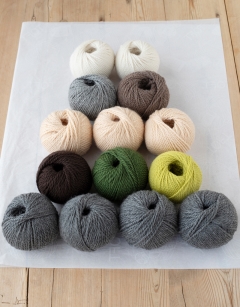 Enchanted Bundle