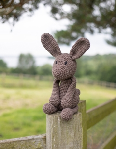 Large Lucy the Hare