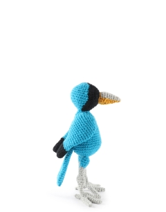 Kenzo the Honeycreeper