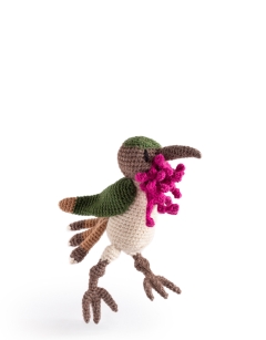 Pedro the Wine Throated Hummingbird