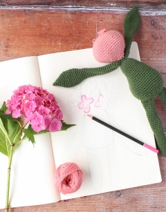 Hydrangea