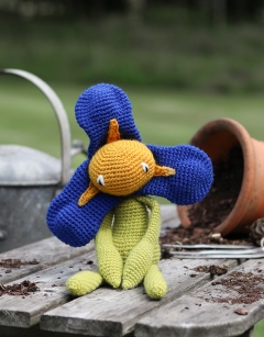 Iris