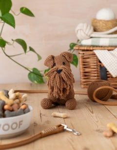 Connor the Irish Terrier