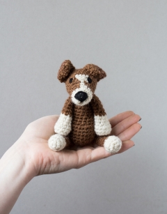 Puppy Discovery Box