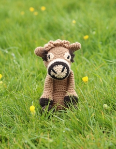 Hilda the Jersey Cow