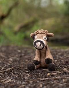 Hilda the Jersey Cow