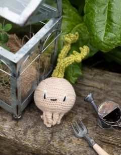 Baby Celeriac