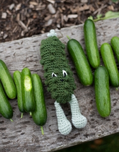 Baby Cucumber