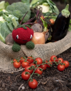 Cherry Tomatoes