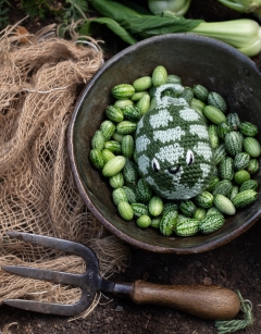 Cucamelon