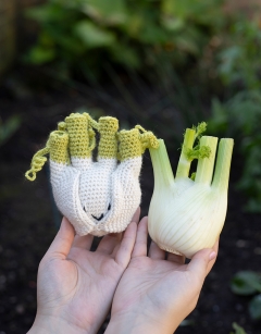 Fennel