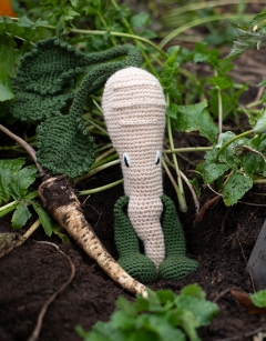 Parsnip