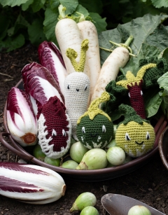 Radicchio