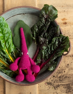 Rainbow Chard