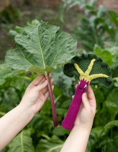 Rhubarb