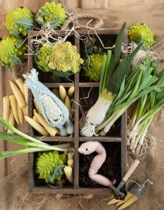 Spring Onion