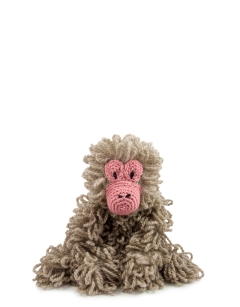 Kimberley the Japanese Macaque