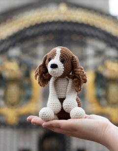 Philip the Cavalier King Charles Spaniel
