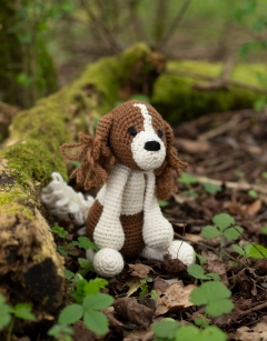 Philip the Cavalier King Charles Spaniel