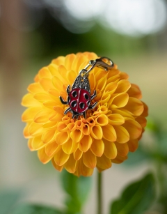 Ava the Ladybird Enamel Centraliser