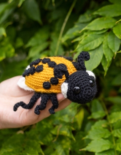 Ava the Ladybird: 22-spot