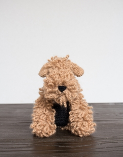 Wainwright the Lakeland Terrier