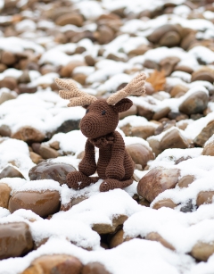 Logan the Moose Kit