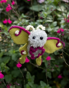 Juniper the Luna Moth