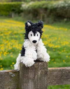 Warren the Malamute